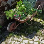 Casa de Férias Casa Sardinha Valcerto