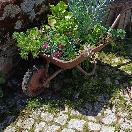 Casa vacanze Casa Sardinha Valcerto