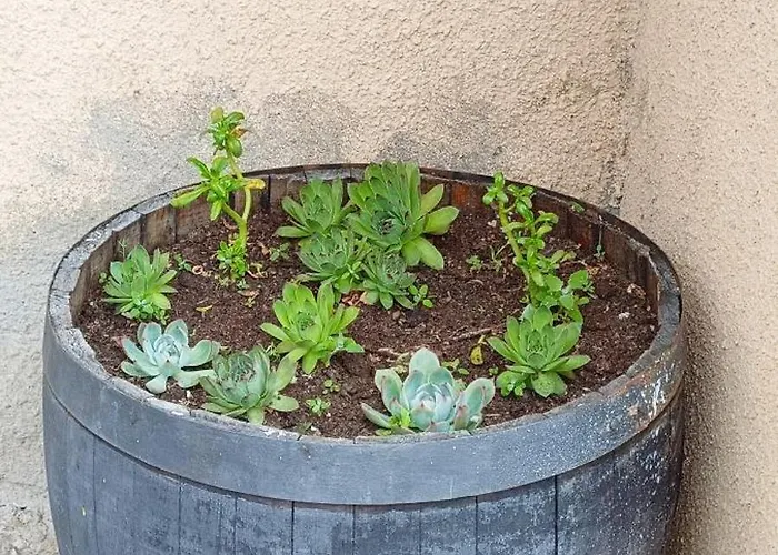 Casa Sardinha 度假居 Valcerto