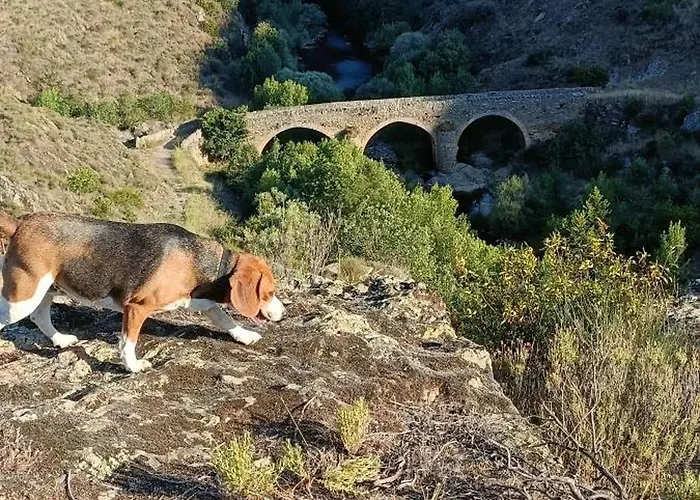Casa Sardinha Nyaraló